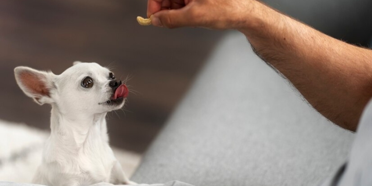 The Benefits of Calming Chews for Dogs: A Natural Solution for Anxiety