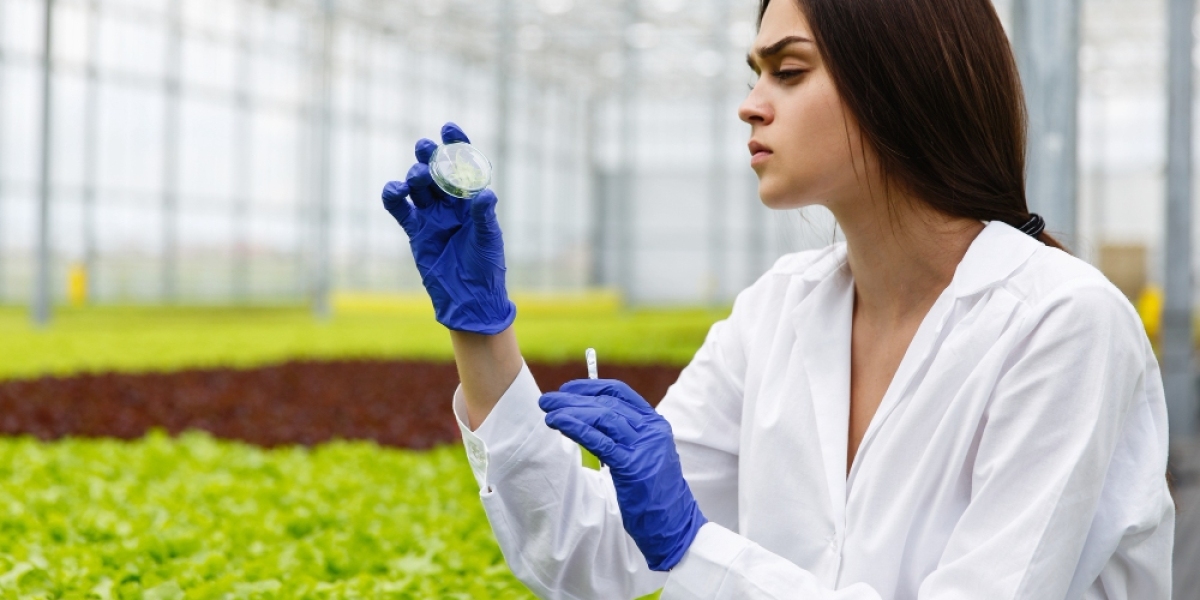 Agricultural Biologicals Market Analysis Business Revenue Forecast Size Leading Competitors And Growth Trends