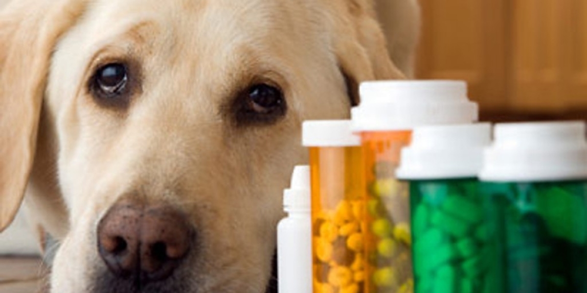 The Global Veterinary Drugs Compounding Market Is Driven By Increasing Pet Ownership