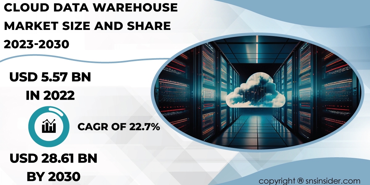 Cloud Data Warehouse Market Competitive Landscape | Analyzing Industry Players