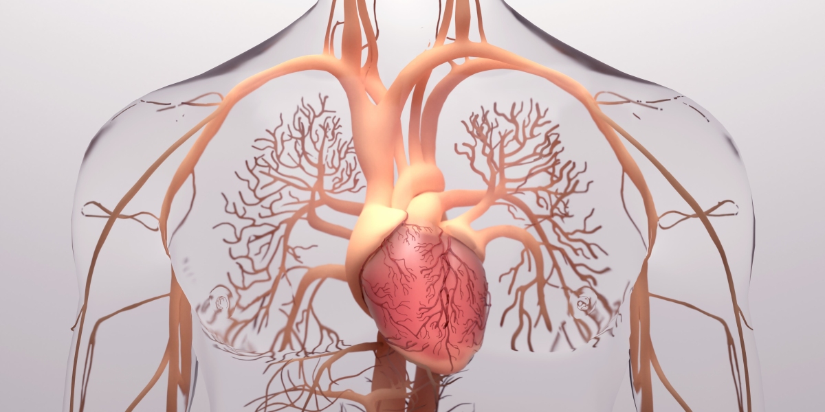 Sacral Nerve Stimulation's Global Influence on Chronic Conditions