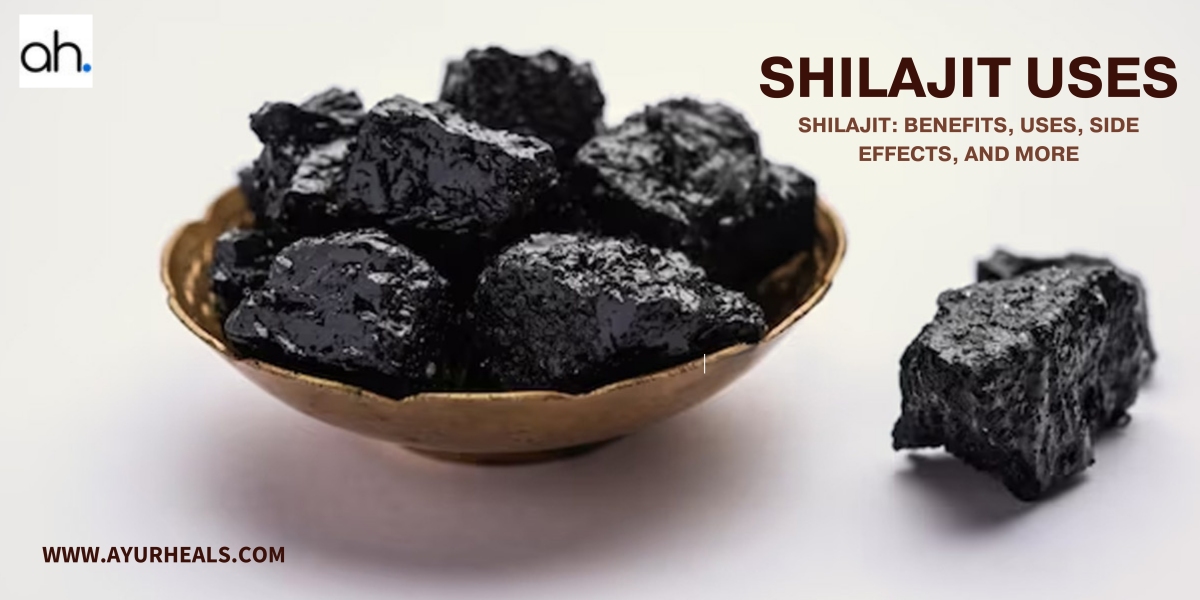 Shilajit: Benefits, Uses, Side Effects, and More