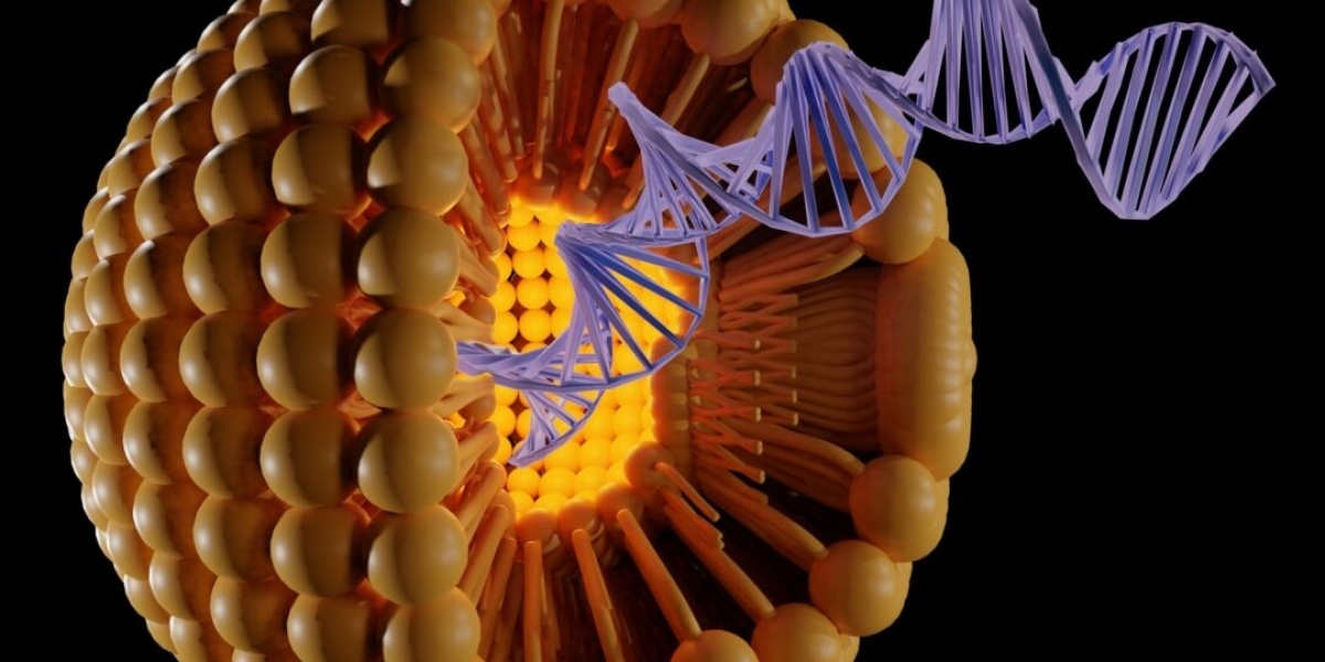 Liposome Drug Delivery: A Promising Nanocarrier System for Targeted Therapeutics