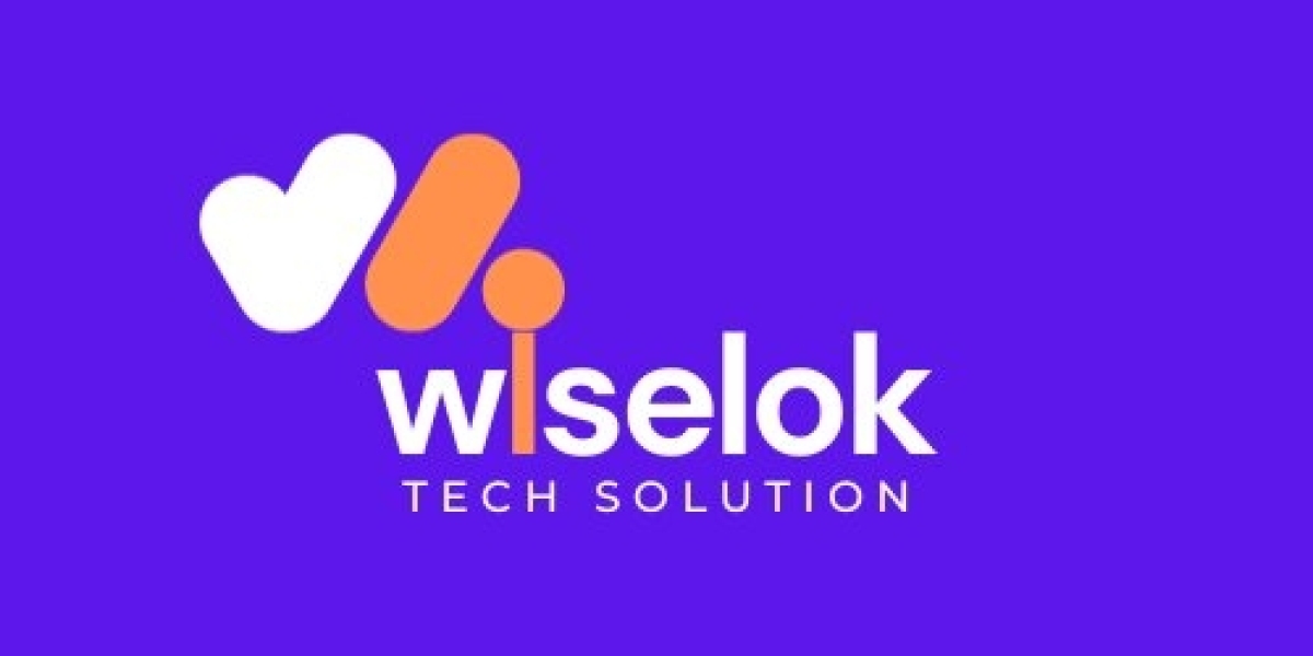 Web Design Company In Jaipur - Wiselok Tech Solution