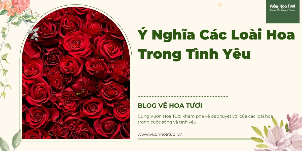 Hoa Hồng, Hoa Hướng Dương, Hoa Cẩm Tú Cầu Top Các Loài Hoa Trong Tình Yêu