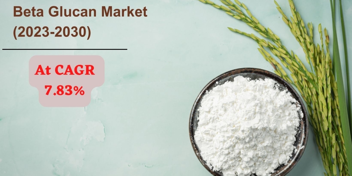 Beta Glucan Market Size, Share 2030: Present Scenario and Growth Prospects