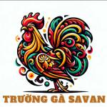 Trường gà Savan