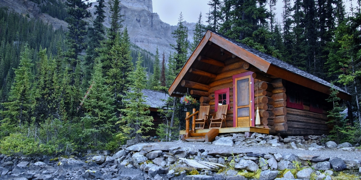 Discover Serenity in Nature's Embrace: Buffalo Trail Cabins Beckon Adventure!