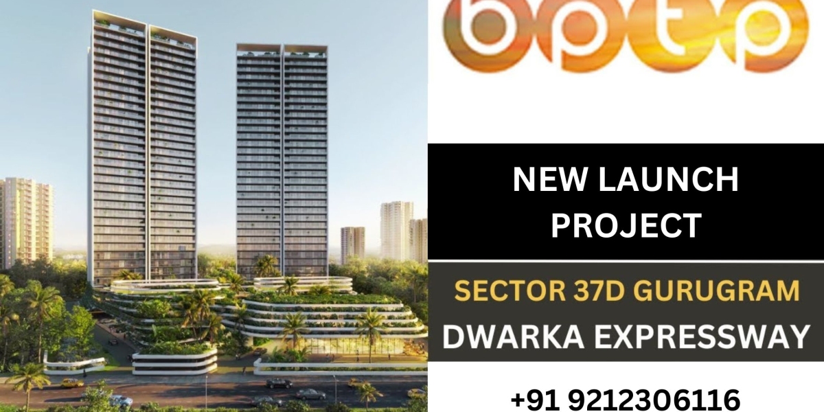 Gain insights from industry experts on the real estate potential of Dwarka Expressway