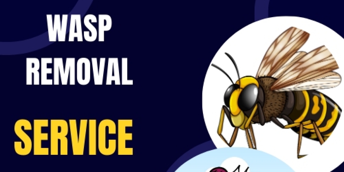 Professional Wasp Removal Briar Hill: Say Goodbye to Wasps for Good