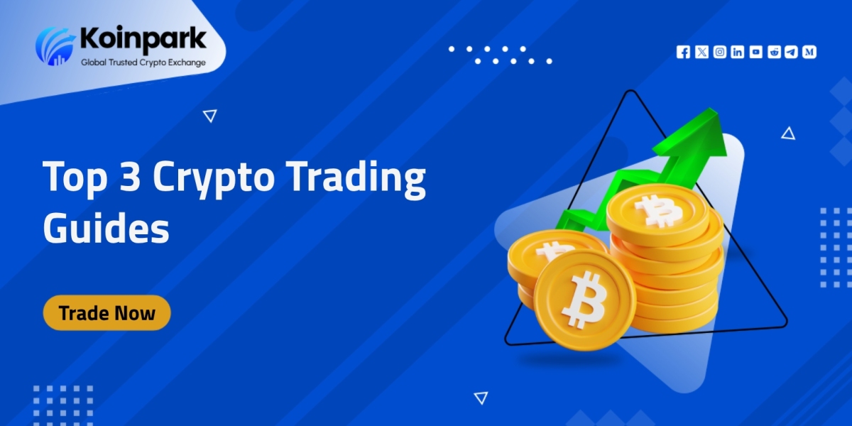 Top 3 Crypto Trading Guides