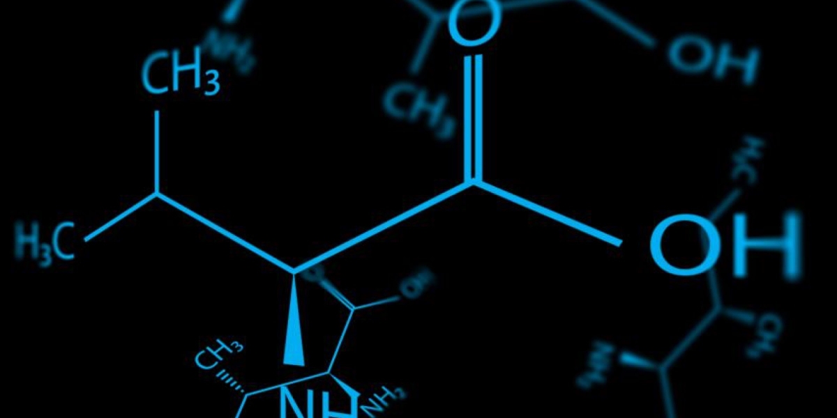 Unnatural Weapons for Novel Drugs: How Unnatural Amino Acids Revolutionize Drug Discovery