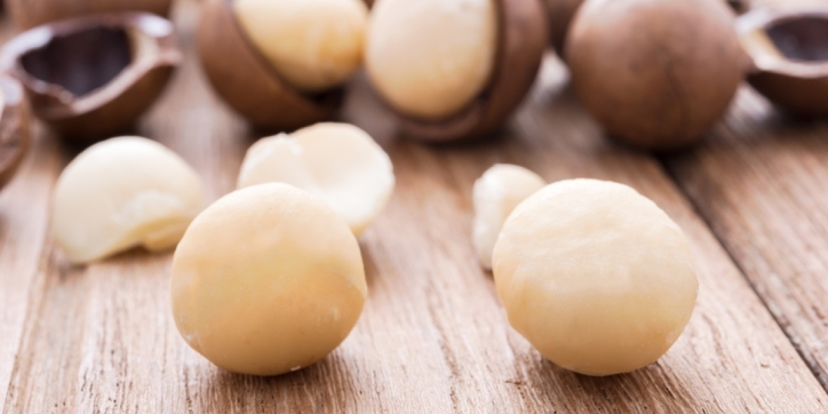 Global Macadamia Market Share, Growth Report, 2024-2032