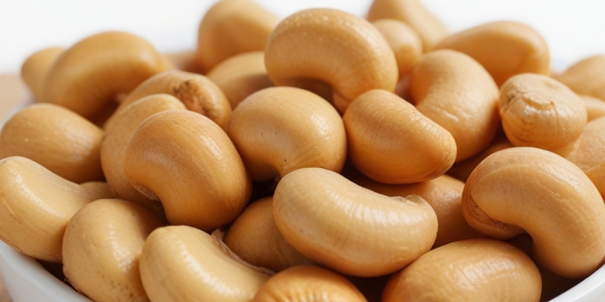 Cashew Nut Processing Plant Project Details, Requirements, Cost and Economics 2024