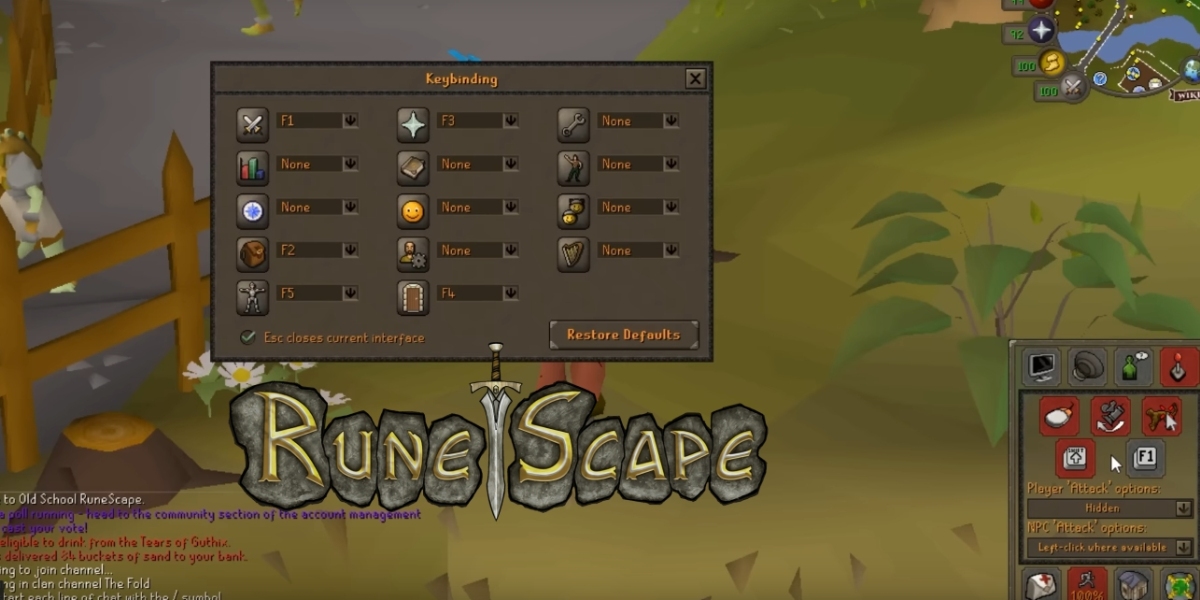 RuneScape is launching The Wilderness in a whole different way