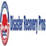 Disaster Recovery Pros