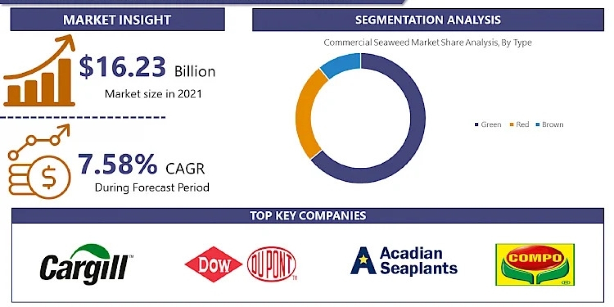 Commercial Seaweed Market Uncover the Latest Market Trends and Insights for 2030