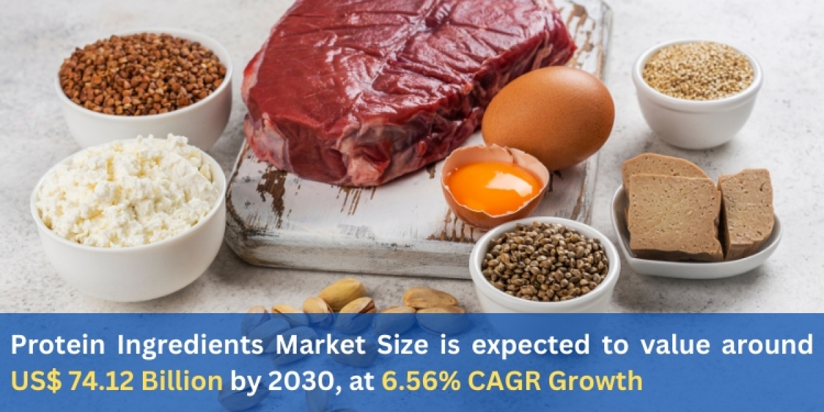 Protein Ingredients Market Analysis Forecast 2024- 2030