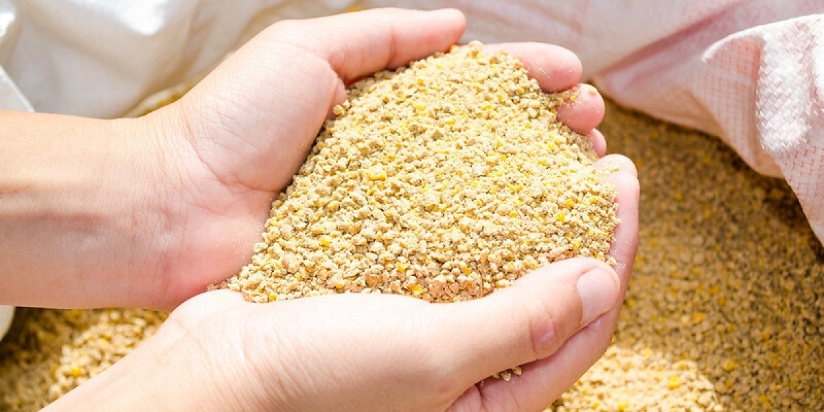 Hominy Feed Market Poised For Rapid Growth Owing to Rising Demand for Animal Feed