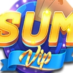 Sumvip01 Pro