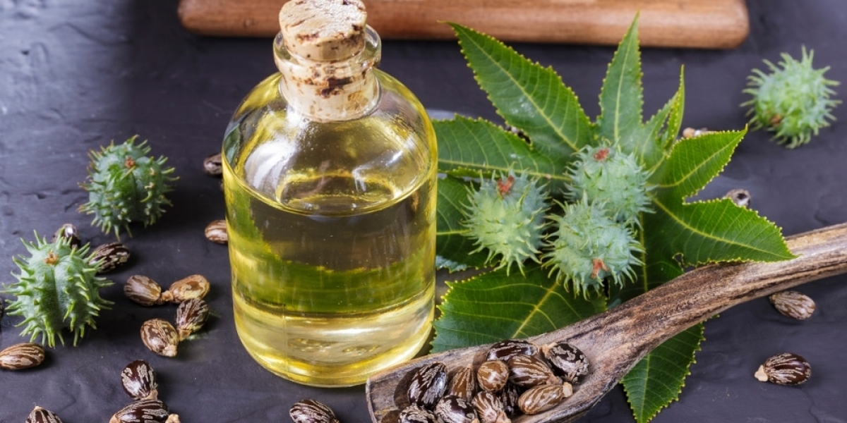 Exploring Growth Opportunities in the Castor Oil Derivatives Market