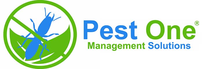 CÔNG TY CỔ PHẦN THƯƠNG MẠI DỊCH VỤ PEST ONE VIỆT NAM