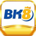 Bk8 Rentals