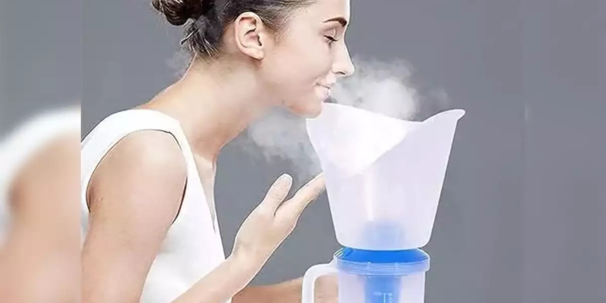 Inhale Wellness: Top Steam Inhalers for Cold and Allergy Relief