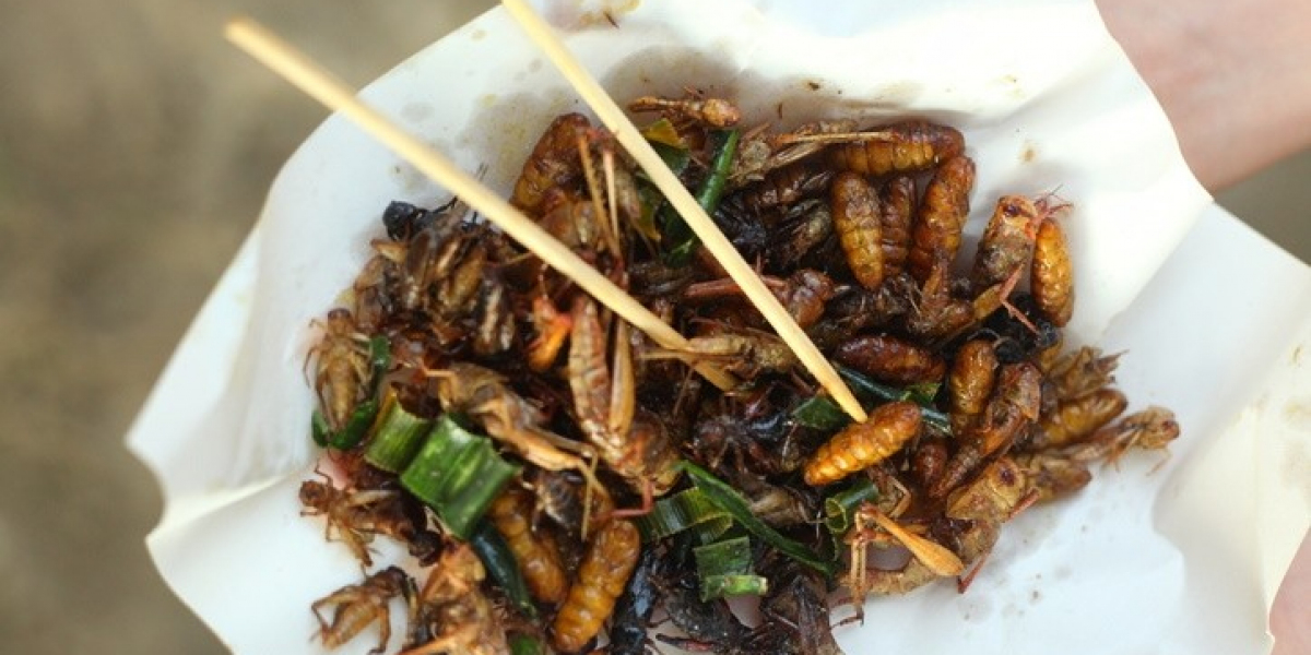 Edible Insects Market Industry Analysis, Challenges, Drivers, Trends and Forecast to 2024-2032