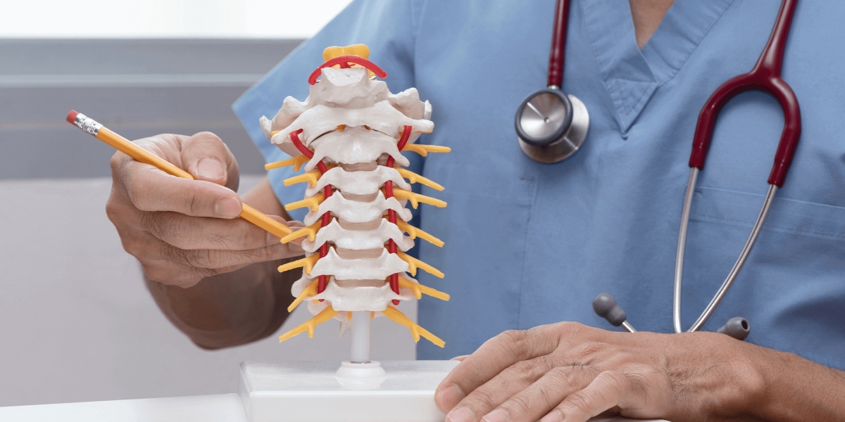 The Comprehensive Overview of Spinal Laminoplasty