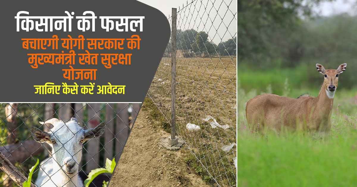 Step-by-Step Guide to Apply for the Chief Minister's Farmers Security Scheme | Crop protection subsidies | Farm animal protection subsidy | KhetiVyapar