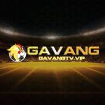 GavangTV Vip