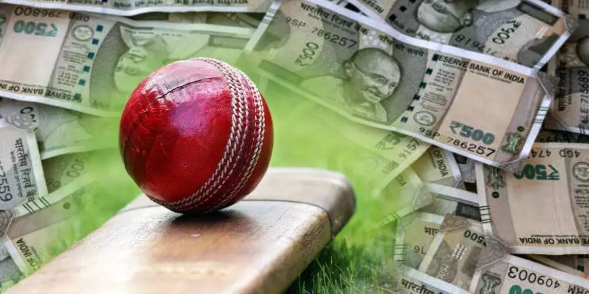 Cricket Betting Basics for Mastering Betting IDs for Success