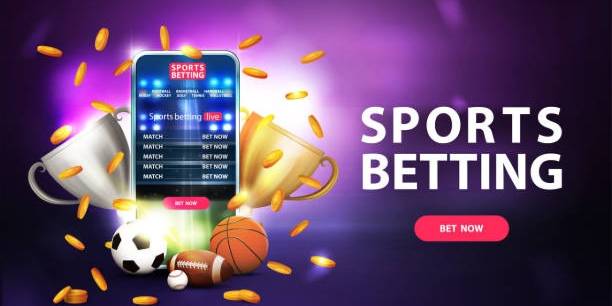 Raise Your Betting Knowledge with India's Top Betting Programs