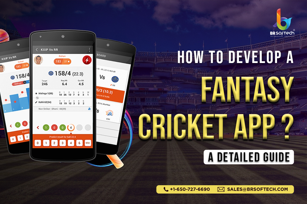 How To Develop Fantasy Cricket Application - BR Softech