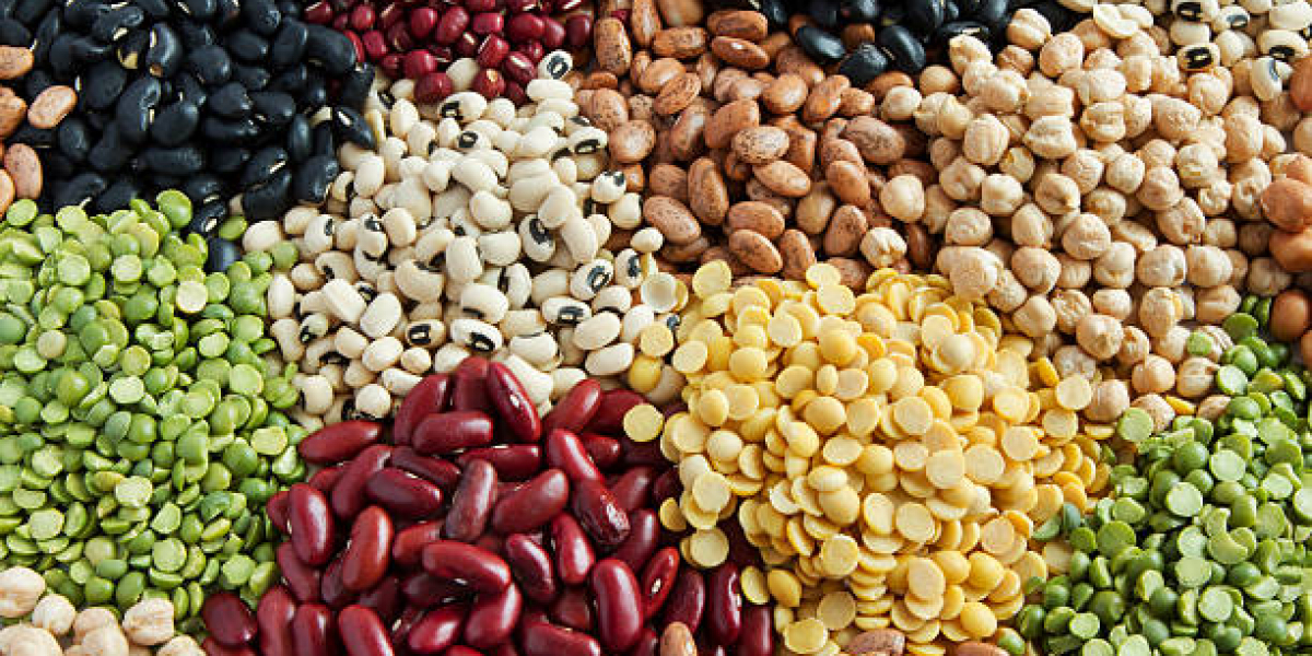 MEA Vegetable Seed Market Scope, Growth Drivers, Trends, Competitive Analysis and Future Share 2032