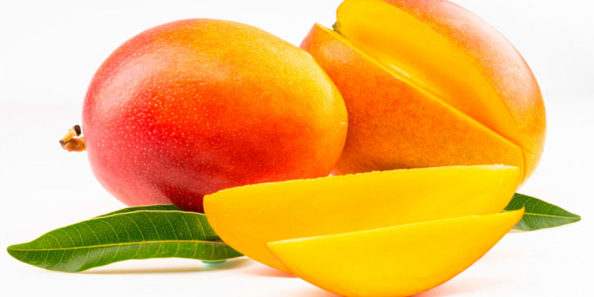 Mango Processing Plant Project Report 2024: Business Plan, and Machinery Requirements