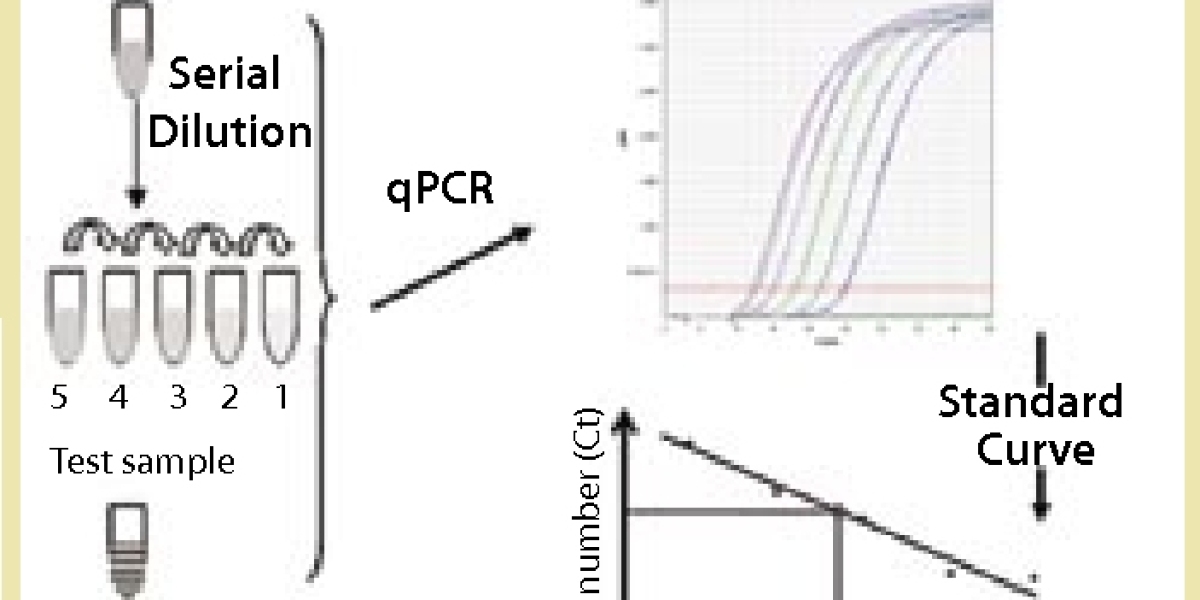 Host Cell DNA Assay Kits for Bioprocess Impurity Analysis