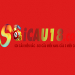 soicau 247