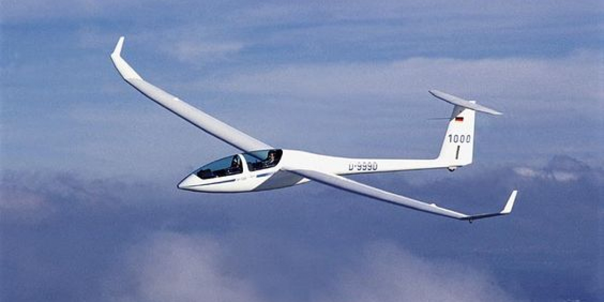 Gliders Market Share Business Strategies To 2033