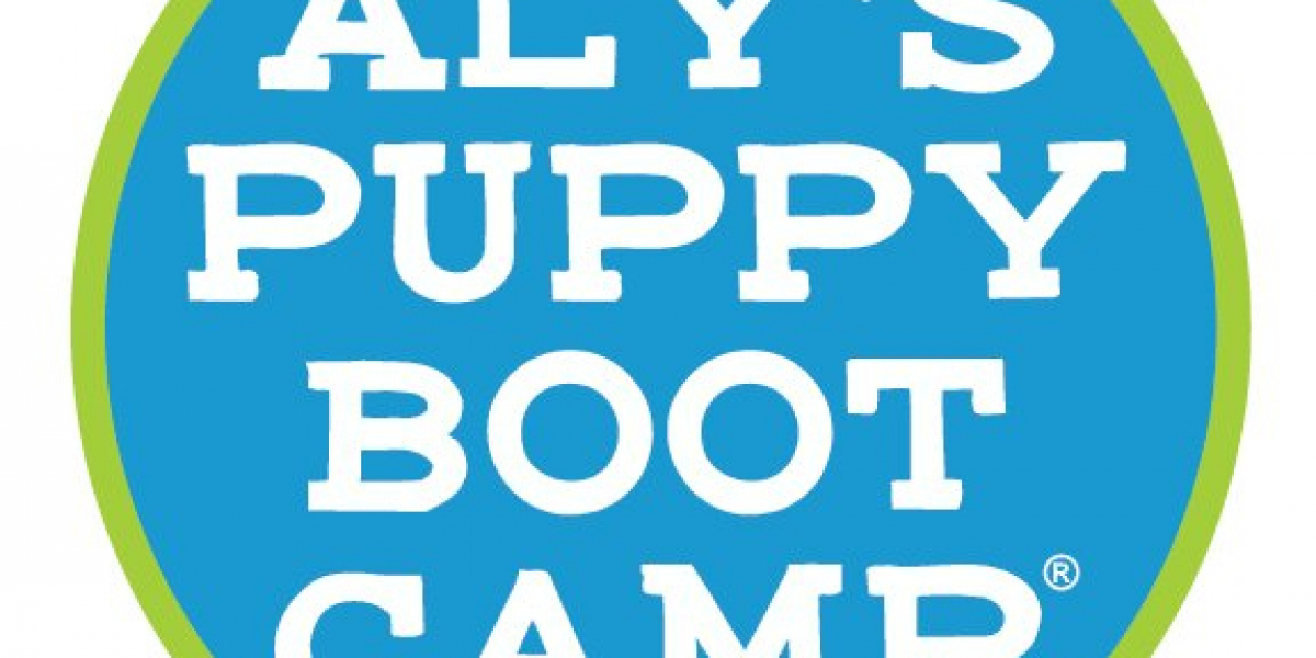 How Aly’s Puppy Bootcamp Products Can Transform Your Dog’s Behavior