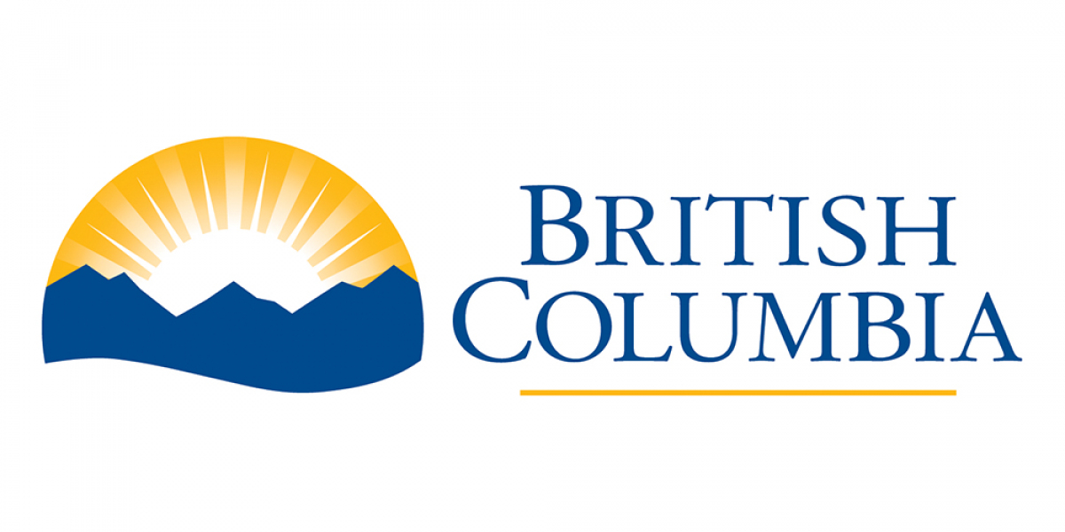 Analytics and reporting tools at British Columbia Local