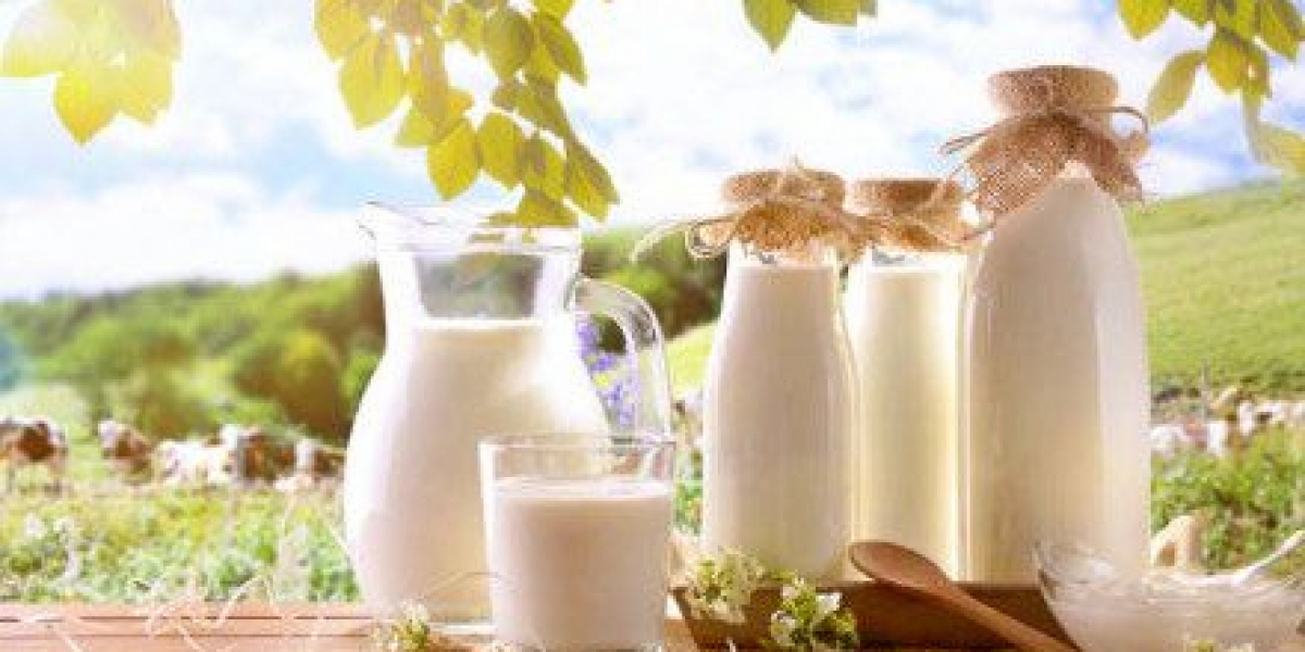 Low Lactose Milk Market Analysis Stunning Growth To 2033