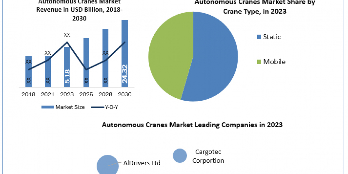 Autonomous Cranes Market Trending Factors, Segmentation, Scope and Regional Insights 2030