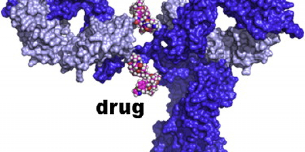 Global Antibody Drug Conjugates Market 2023 | Industry Outlook &amp; Future Forecast Report Till 2032