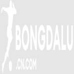 BongDa Lu