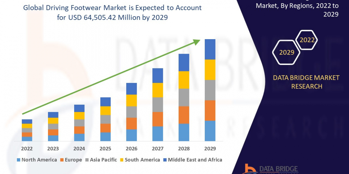 Driving Footwear Market Accelerates with Increasing Focus on Comfort and Safety