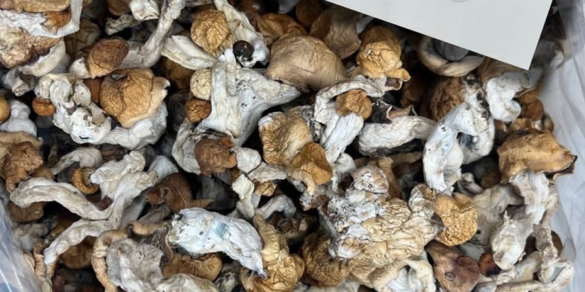 How to use mushroom for anxiety