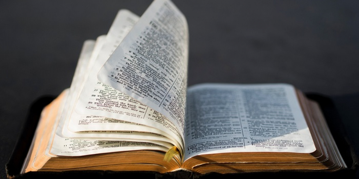 Does Jesus Say the Old Testament Is True?
