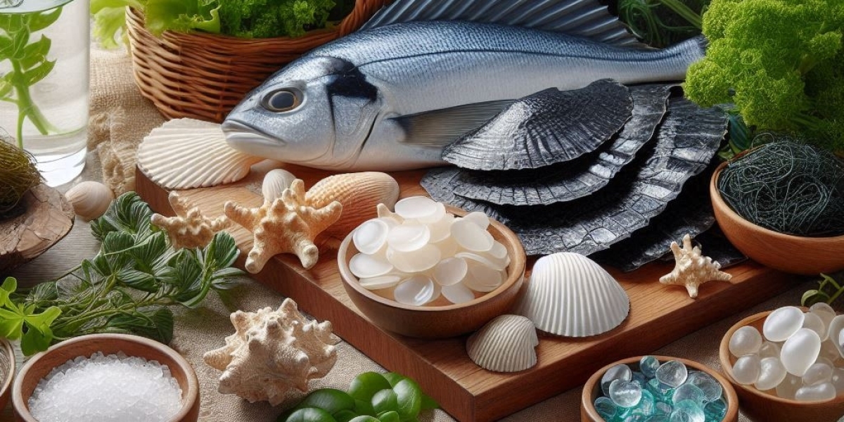 Marine Collagen Ingredients Market Segmentation by Source, Application, and Region